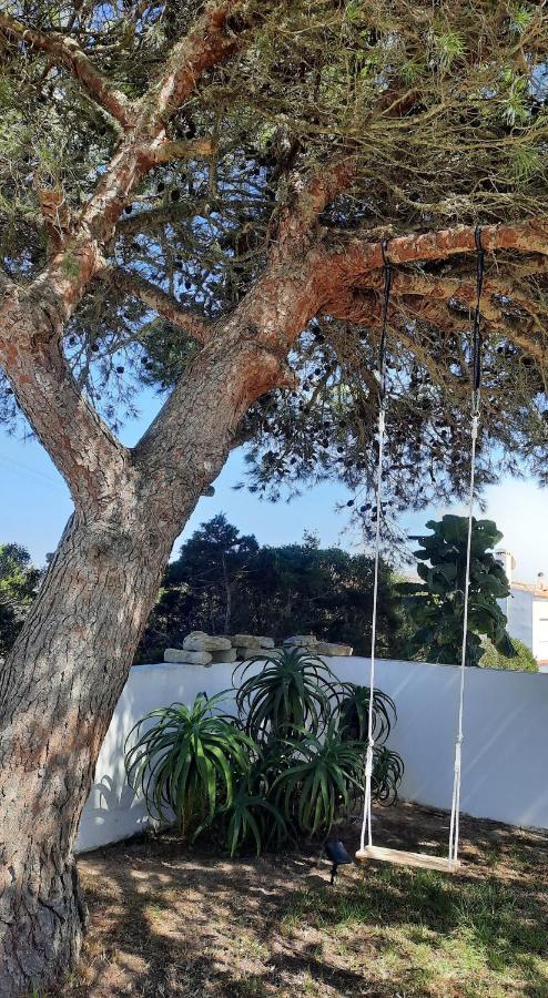 Casa Clerigo Espartal Bed and Breakfast Aljezur Εξωτερικό φωτογραφία