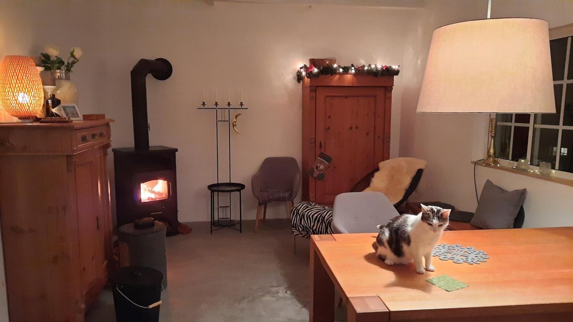 Casa Clerigo Espartal Bed and Breakfast Aljezur Εξωτερικό φωτογραφία